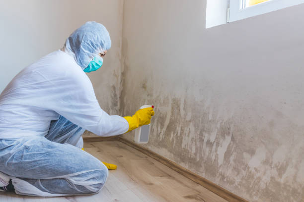 Licensed Hvac And Air Duct Mold Remediation service in Jacksonville, OR - 24 Hour Mold Removal